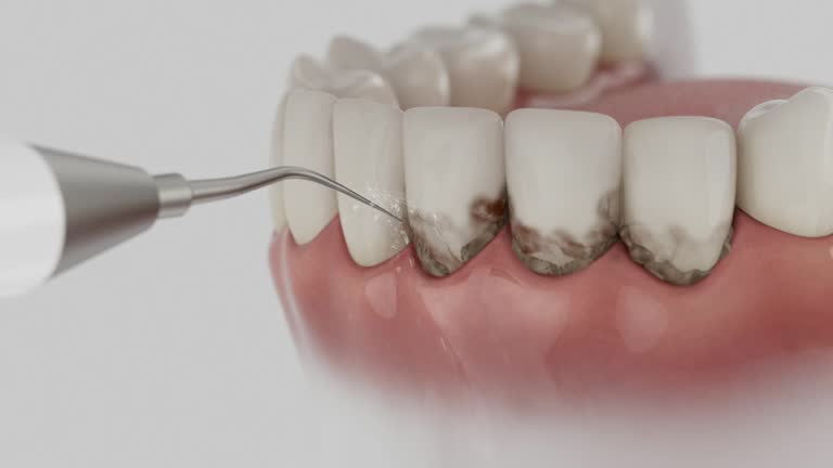 Reliable Dental contractor in New Town, ND by Dentist Open Now